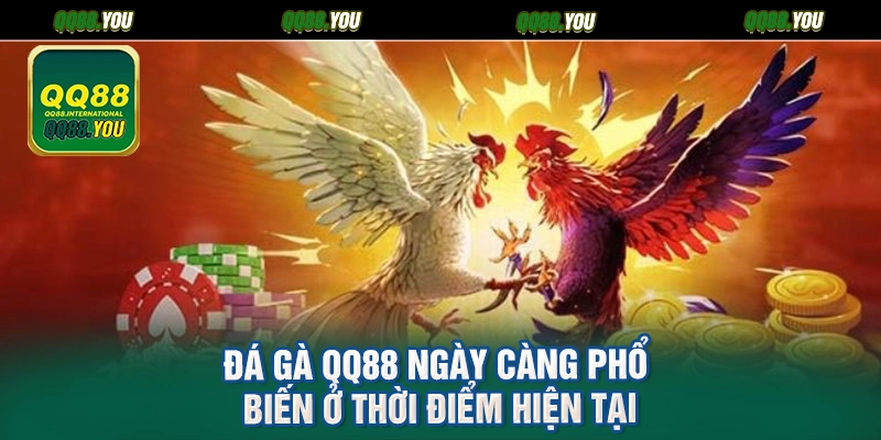 Đá gà QQ88 ngày càng phổ biến ở thời điểm hiện tại