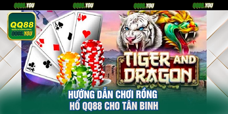 Hướng dẫn chơi Rồng hổ QQ88 cho tân binh