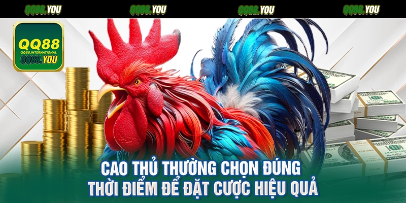 Cao thủ thường chọn đúng thời điểm để đặt cược hiệu quả