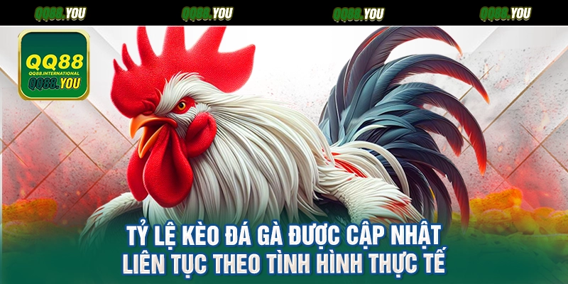Tỷ lệ kèo đá gà được cập nhật liên tục theo tình hình thực tế