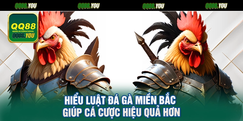 Hiểu luật đá gà miền Bắc giúp cá cược hiệu quả hơn