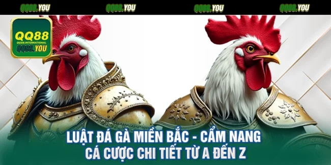 Luật Đá Gà Miền Bắc - Cẩm Nang Cá Cược Chi Tiết Từ A Đến Z