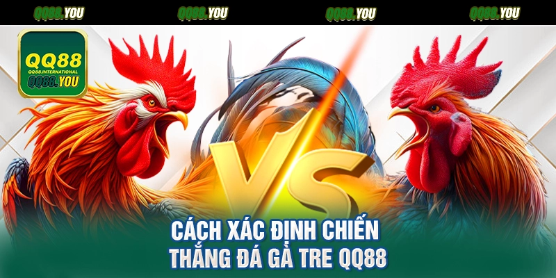 Cách xác định chiến thắng đá gà tre QQ88