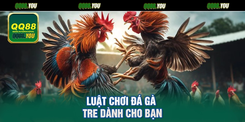 Luật chơi đá gà tre dành cho bạn