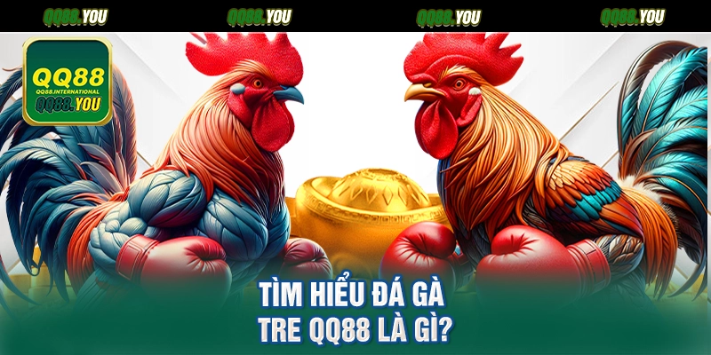 Tìm hiểu đá gà tre QQ88 là gì