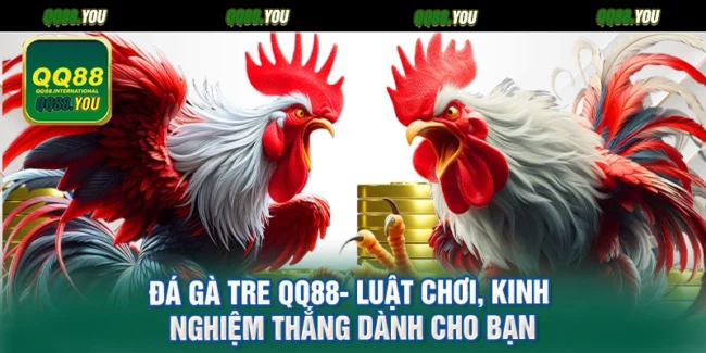 Đá Gà Tre QQ88- Luật Chơi, Kinh Nghiệm Thắng Dành Cho Bạn