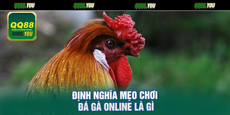 Định nghĩa mẹo chơi đá gà online là gì