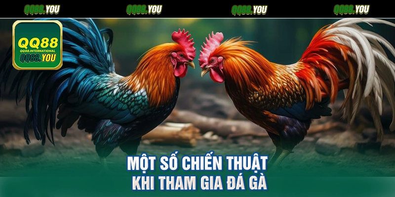 Một số chiến thuật khi tham gia đá gà