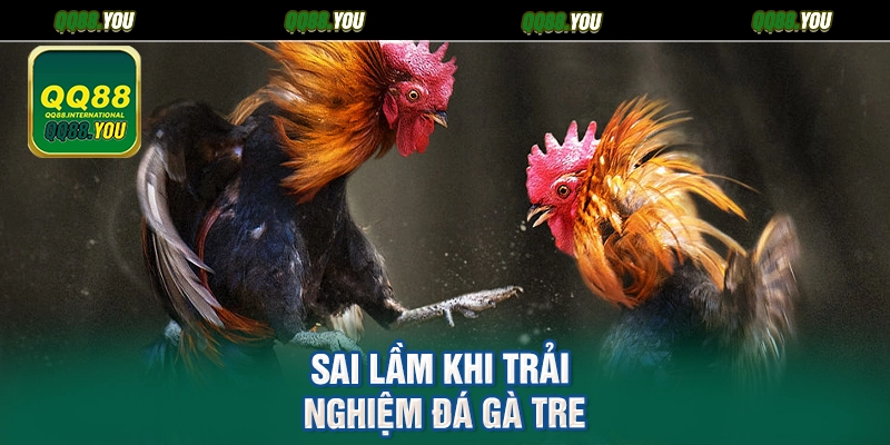 Sai lầm khi trải nghiệm đá gà tre