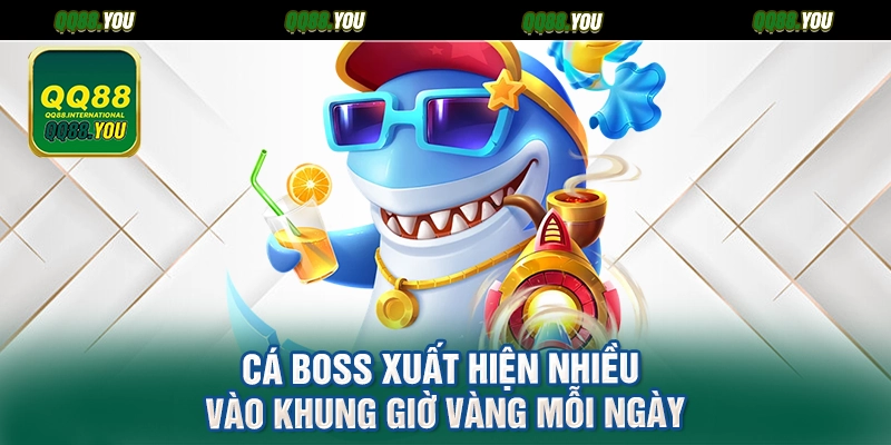 Cá boss xuất hiện nhiều vào khung giờ vàng mỗi ngày